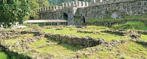 Roman vineyard discovered in Georgia