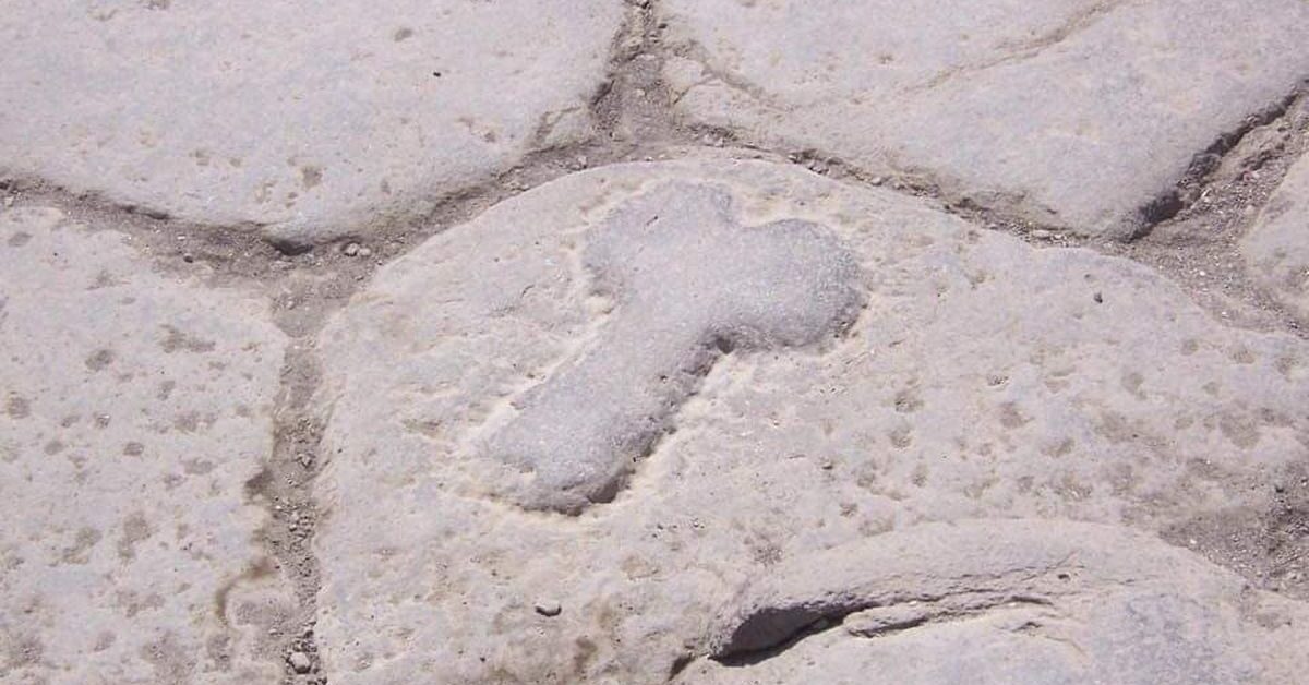 Znak drogowy wskazujący drogę do domu publicznego w Pompejach