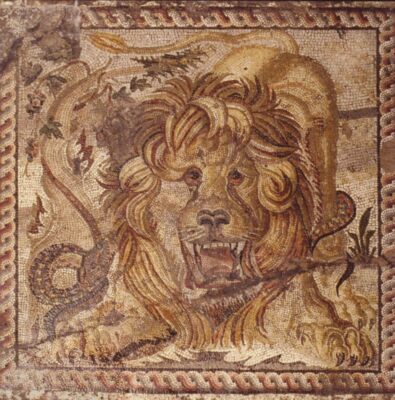 Wspaniała mozaika rzymska ukazująca lwa
