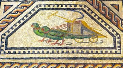 Mozaika rzymska ukazująca papugi ciągnące dwukołowy rydwan