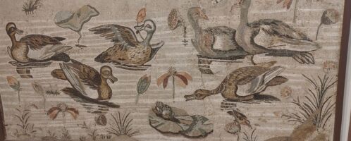 Roman mosaic showing ducks, birds and frogs on water