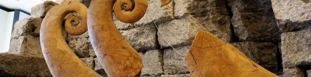 Various decorative and architectural elements from Etruscan and Roman temples