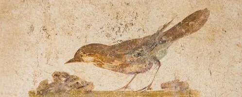 Fresco depicting a bird, Villa of the Empress Poppea, Torre Annunziata, Italy