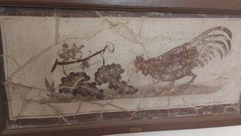 Roman fresco showing rooster pecking grapes