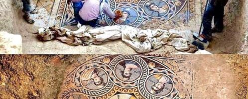 Mosaic discovered in ancient Greek city of Zeugma