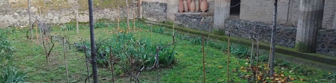 Inner garden in a Roman house