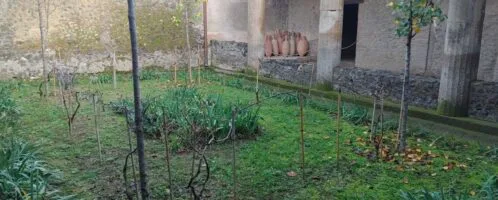 Inner garden in a Roman house