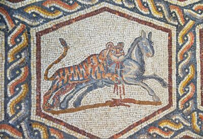 Rzymska mozaika podłogowa ukazująca polującego tygrysa