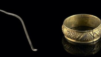 Silver "toilet spoon" from Roman times has been discovered in Wales