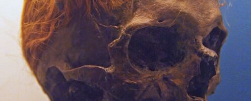 Zachowana czaszka germańskiego wojownika z plemienia Swebów