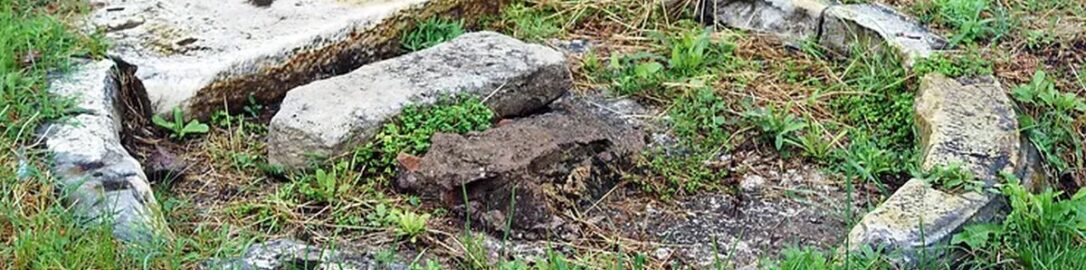 Forum Romanum pozostałości kapliczki Wenus Cloaciny