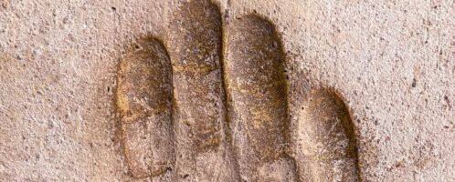 Preserved Roman brick that shows man's handprint