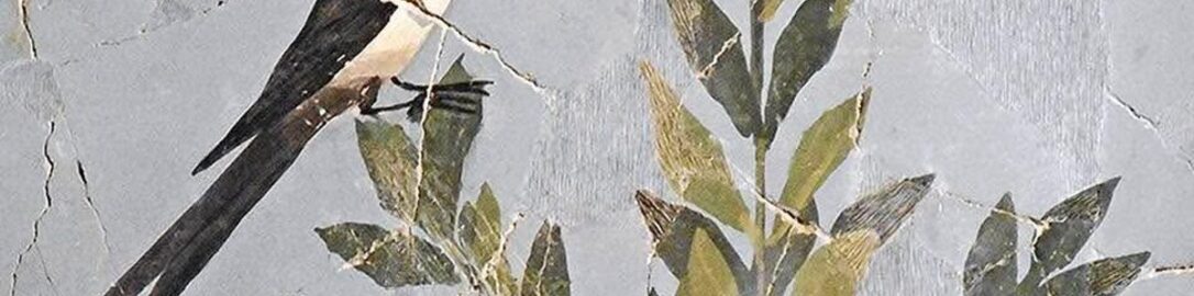 Black and white bird on Roman fresco