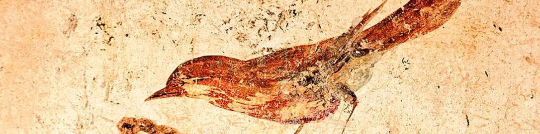 Roman fresco depicting bird