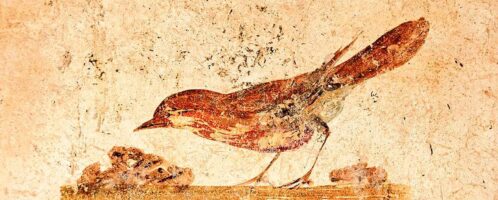 Roman fresco depicting bird