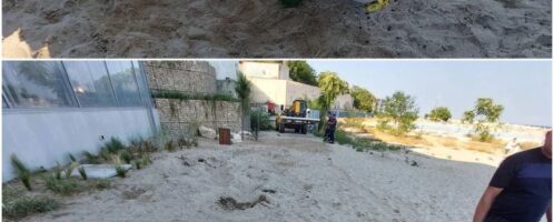Roman sarcophagus found in beach bar in Bulgaria