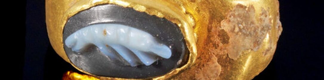 Shrimp on Roman ring