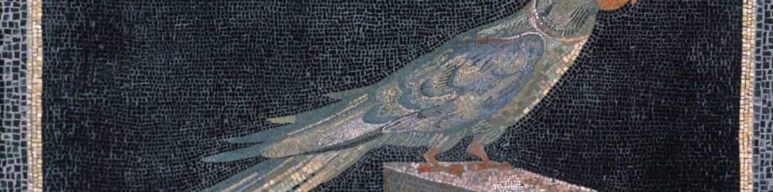 Rzymska mozaika z papugą