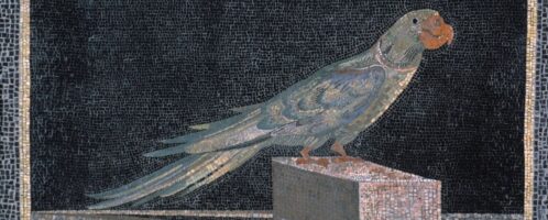 Roman mosaic with parrot