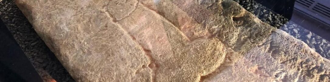 Roman floor with drawing of phallus