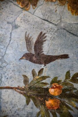 Rzymski fresk ukazujący lecącego ptaka