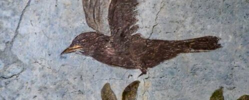 Roman fresco showing flying bird